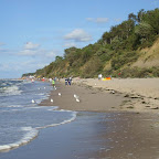 Mewy witają mnie na każdym wejściu na nową plażę - moi wierni latający przyjaciele.