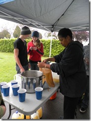 apple cider 15 apple cider 15