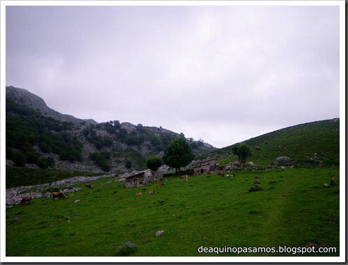 Poncebos-Canal de Trea-Jultayu 1940m-Lagos de Covadonga (Picos de Europa) 5174 Poncebos-Canal de Trea-Jultayu 1940m-Lagos de Covadonga (Picos de Europa) 5174