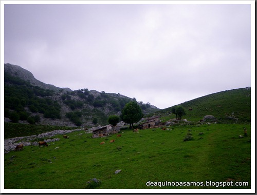 Poncebos-Canal de Trea-Jultayu 1940m-Lagos de Covadonga (Picos de Europa) 5174