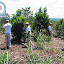 II Curso año 2006 II Curso año 2006