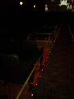 IMG_20111217_164215.jpg
