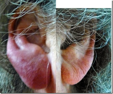 ears ears