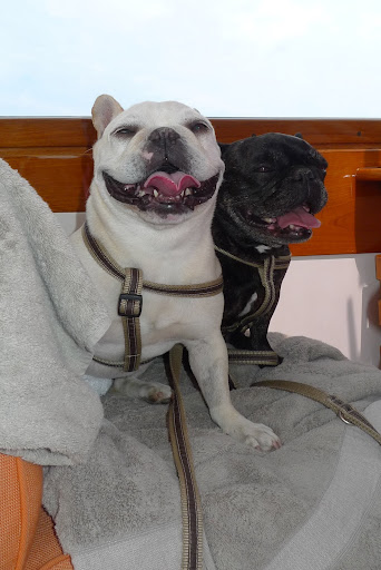So, what do you say we enjoy the boat trip we're on and we can play explorers later!