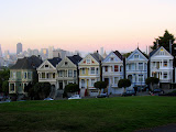 IMG_7318.JPG