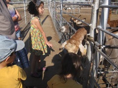 IMG_8693 IMG_8693