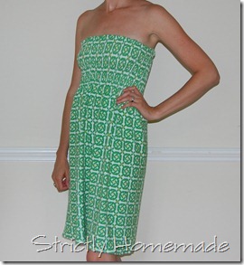 Shirred Dress - Small