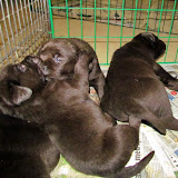 IMG_1678.JPG