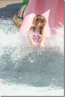 IMG_1060_e IMG_1060_e