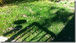 shadow 7 shadow 7