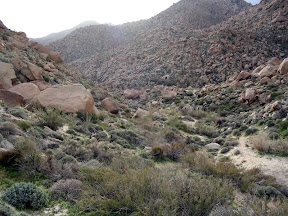 Trail is barely discernible. (it's to the right)