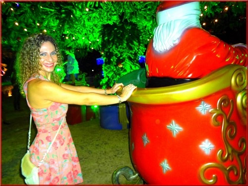 [carona%2520com%2520papai%2520noel%255B7%255D.jpg]