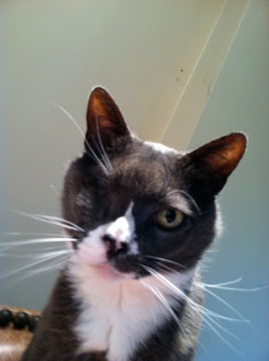 “Don't tell me the sky's the limit when there are footprints on the moon.” ― Paul Brandt (Super kitty, Ms. Gally)