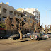 Schräge Bäume in Casablanca