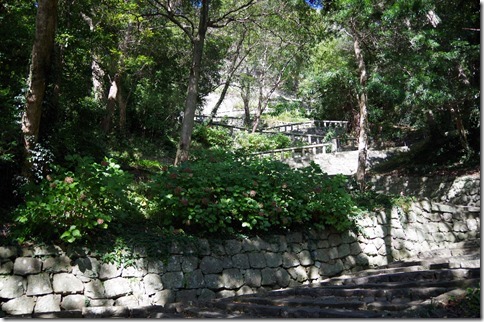 IMGP4076 IMGP4076