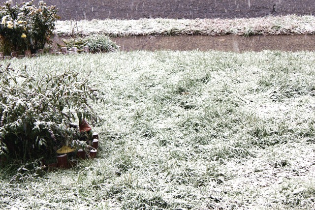 [1stsnow02%255B2%255D.jpg]