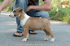 Karmacoma SUPERSTYLIN' 9 weeks
