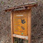 singold-bote_waldlehrpfad-schwabegg_029.jpg