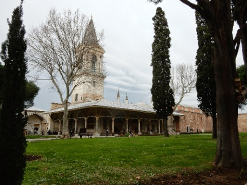 DSCN3363.jpg DSCN3363