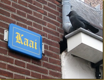 Kaai & kraai Kaai & kraai