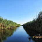 IMG_6218.JPG