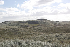 DSC_0472.JPG
