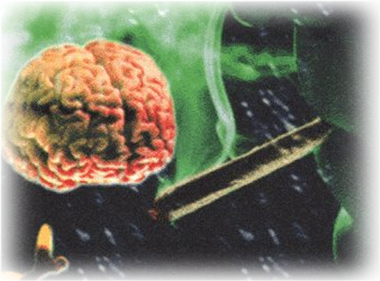 [cerebro%2520drogas%255B4%255D.png]