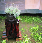 (8_of_25)-2.jpg