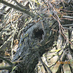 IMG_7671.JPG