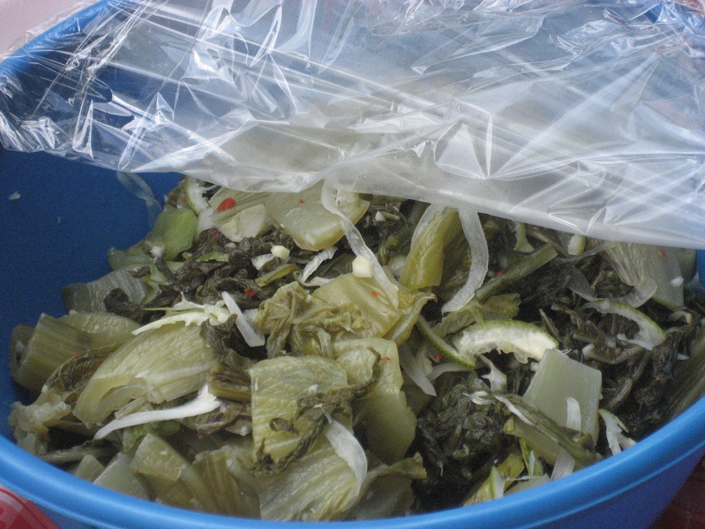 [picnic%2520003.jpg]