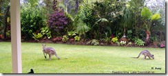 29-DSCF2122 29-DSCF2122