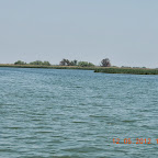 DSCN0211.JPG