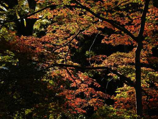 DSCN0836.JPG