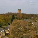 IMGP0123.jpg