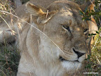 Manyara Nationalpark
