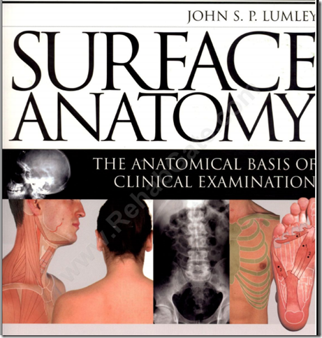 suface-anatomy suface-anatomy
