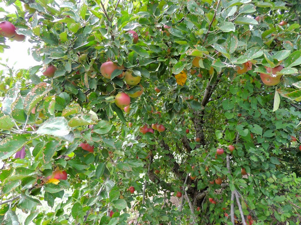 [DSCN0301%255B3%255D.jpg]