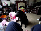 DSCF8400.JPG