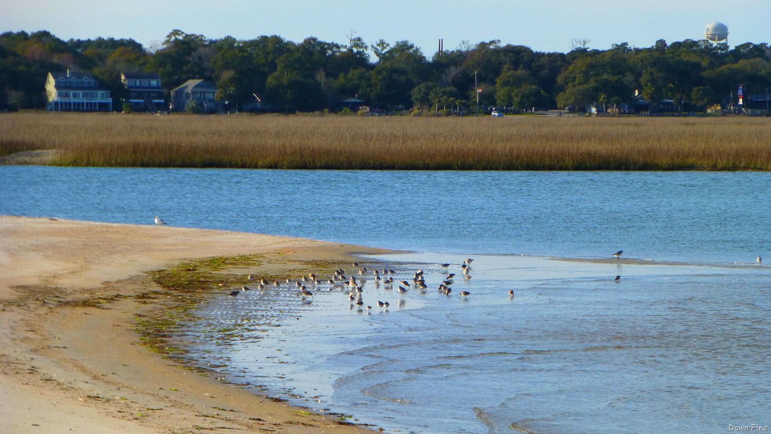 [Causeway%2520and%2520North%2520Beach_076%255B4%255D.jpg]