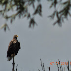 DSCN9658.JPG