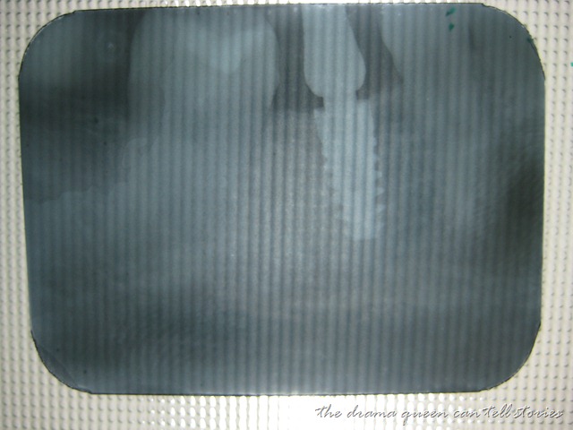 [IMG_3838%255B7%255D.jpg]