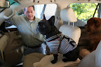 Okay, we're all in the car!  Let's roll, Uncle Carlos!