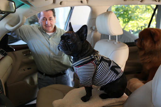 Okay, we're all in the car!  Let's roll, Uncle Carlos!