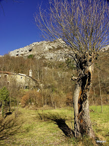 Dolenjščina 5078.jpg