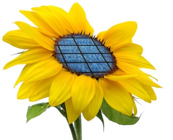 [energia-renovable--energia-solar%255B6%255D.jpg]
