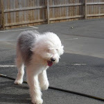 DSCN4554.jpg