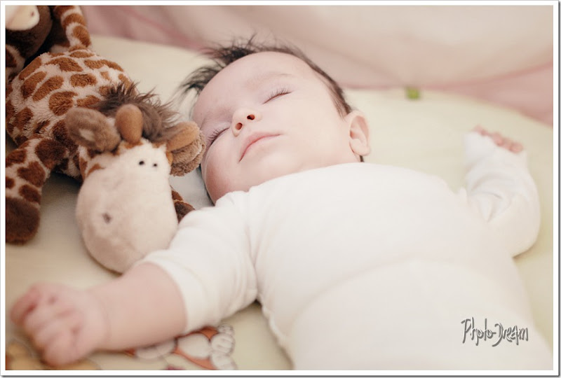 DVM_4846 DVM_4846