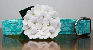 Blue Hydrangea collar Blue Hydrangea collar
