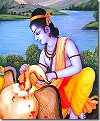 Lord Rama with Jatayu