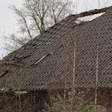 IMG_5926.JPG